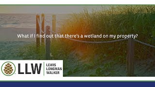 What if I find out that there’s a wetland on my property?