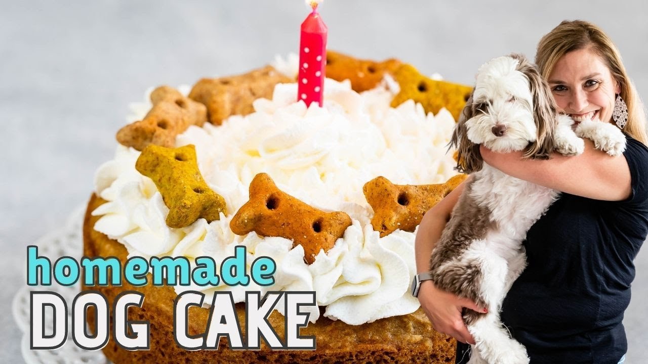 Easy Homemade Dog Cake Recipe - YouTube
