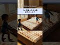 どのベッドを使いたい？金魚VS卵#asmr #shorts #satisfying