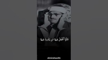 أكتب شئ تؤجر عليه | القران الكريم  #اكسبلور #المنشاوي