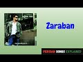 Zaraban, by Shahab Tiam, Explained