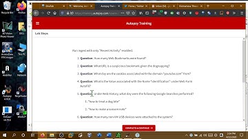 Autopsy Searching Recent Browsing History