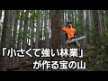「小さくて強い林業」が作る宝の山　東京都檜原村