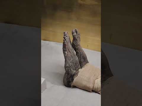 اعتبر بمن مضى قبلك ولا تكن عبرة لمن يأتي بعدك