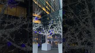 Winter Wonderland:Christmas Light Trees!