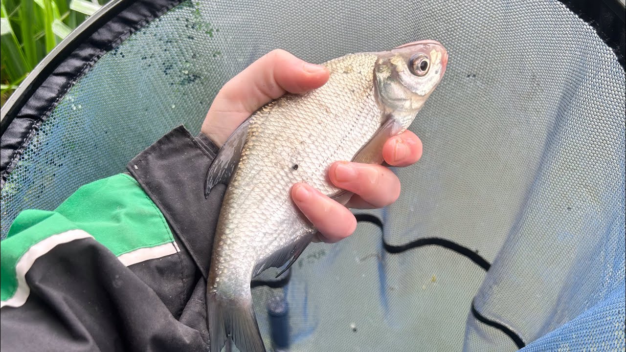 Whip fishing challenge on a free whip from angling direct - YouTube