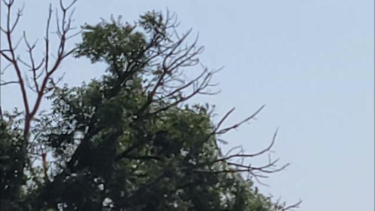 Delta Airlines, 757200, ATL OKC. YouTube