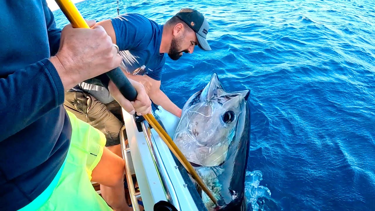 İnce Takımla Dev Balık Yakaladık / Giant Tuna Fishing YouTube