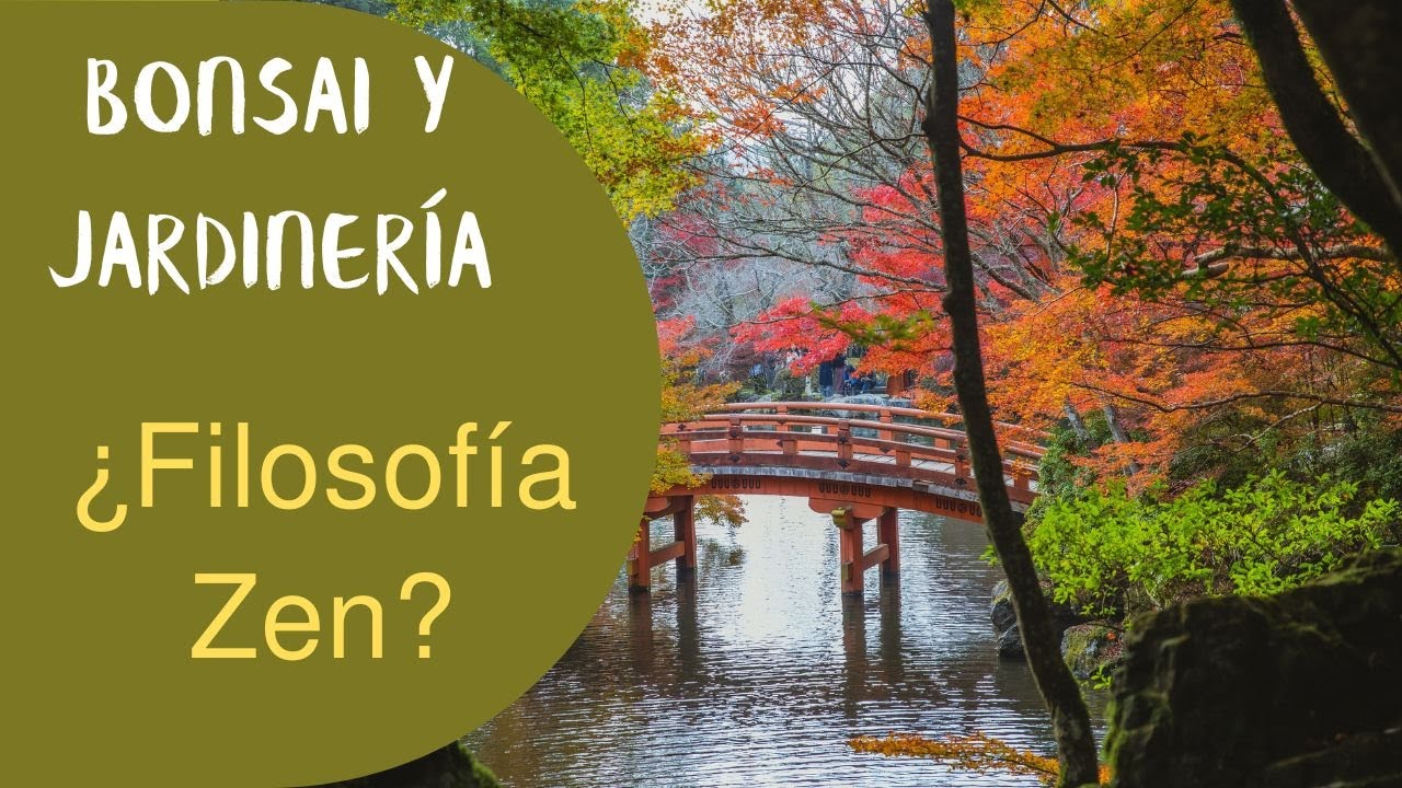 Bonsái & Jardinería. ¿Tiene que ver con la filosofía Zen? La explicación.