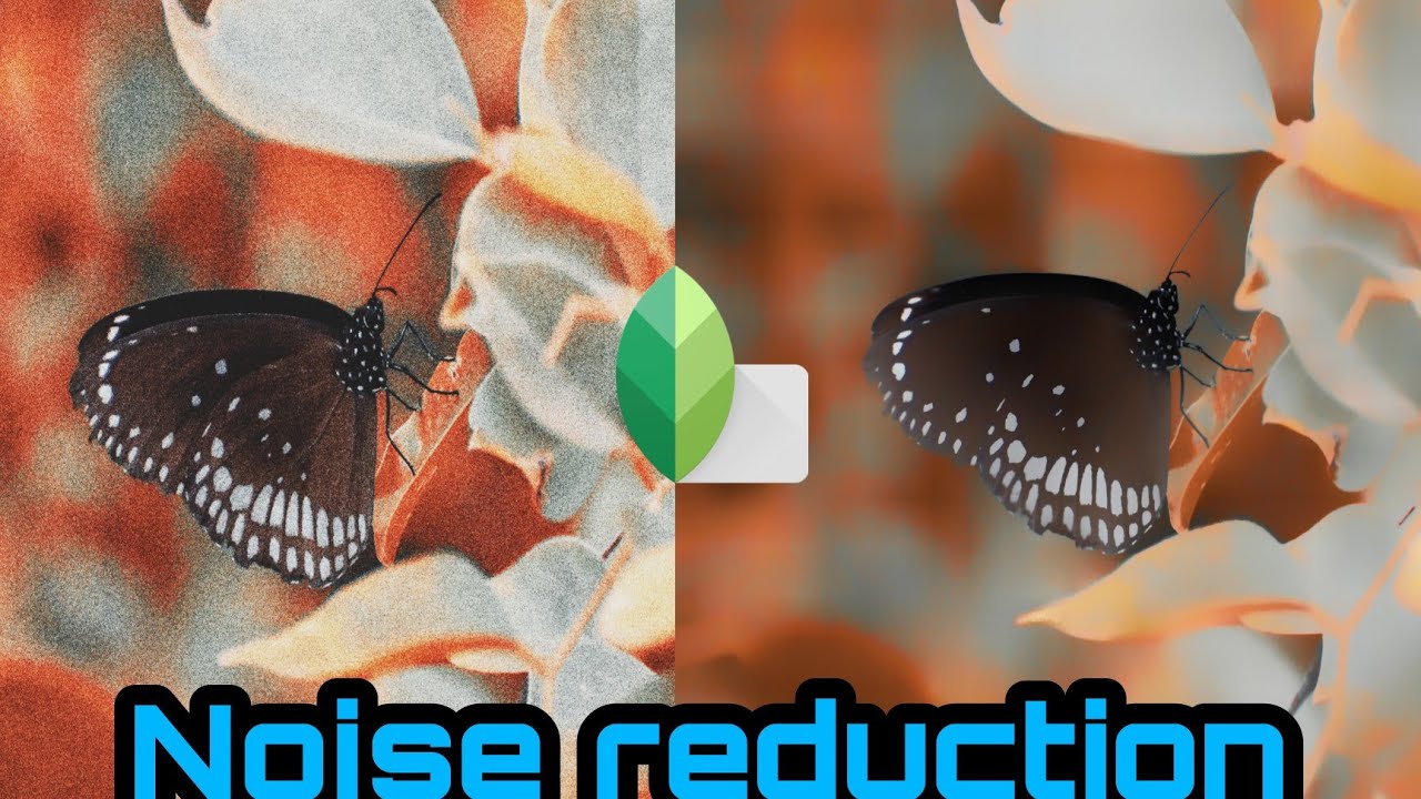 Reduce noise in SNAPSEED Harsh Yaduvanshi YouTube