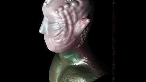 Mudbox turntable video