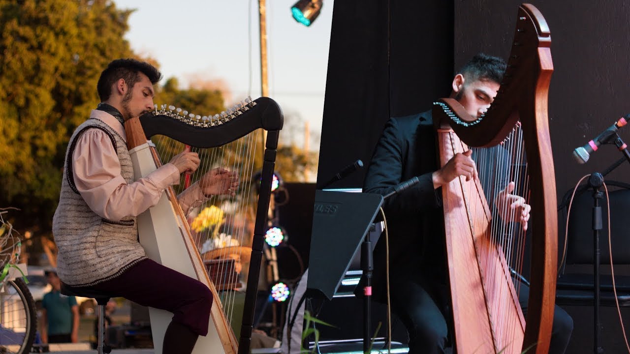 ¿Cómo elegir mi primer arpa?  Recomendaciones