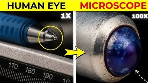 Hidden Things Only Seen Under a Microscope. @83Gyaan 