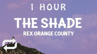 [ 1 HOUR ] Rex Orange County - THE SHADE (Lyrics)