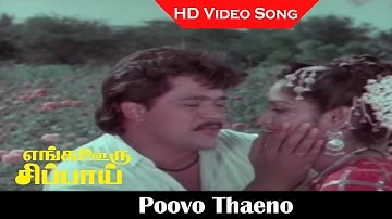 Poovo Thaeno Video Song | Enga Ooru Sippai Movie | Arjun ,Sree Bhanu Love Songs | Mano Hits | HD