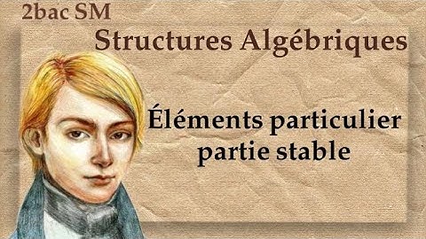 Chapitre 2 : Éléments Particulier Et Partie Stable (SM)