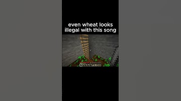 EVERYTHING LOOKS ILLEGAL WITH THIS SONG