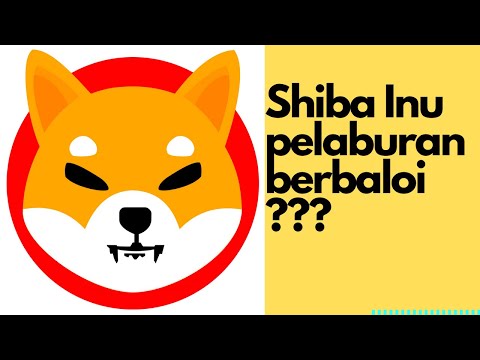 Terlalu Lambat Untuk Membeli Shiba Inu Shib Review Youtube