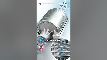 Diesel oxidation catalyst ( DOC )#autotechnology #mechanic #fuelefficiency #carsafety #carpart #bs6