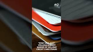 Volusia sheriff warns of holiday credit card fraud