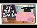 Use your brain