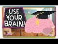 The Amazing Brain and Its Essential Functions