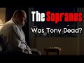 The sopranos what did tonys coma dream mean