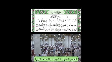 سورة الفيل قراءة الشيخ صلاح البدير