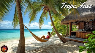 French Fuse  Tropic Fuse 4x Looped