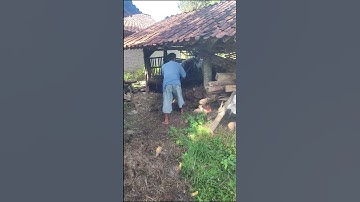 smart technique for sorting soil using a hoe #shorts