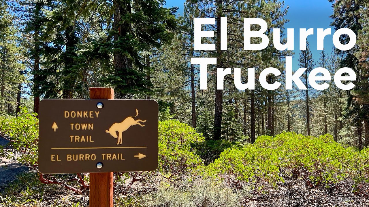 A RETURN TO THE EL BURRO MTB TRAIL IN TAHOE