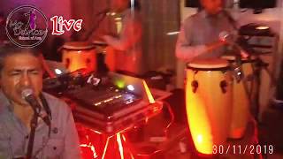 Modance Latin Live Part 24 --- 30112019