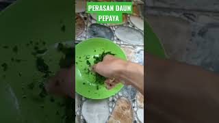 Download Lagu Obat alami malaria #ngeshortsbareng #youtubeshorts #youtube #vlog MP3