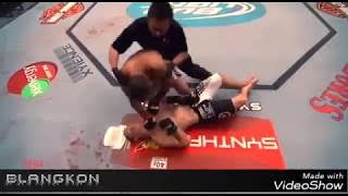 UFC pukulan dan tendangan mematikan petarung UFC