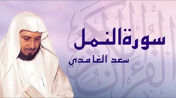 القرآن الكريم بصوت الشيخ سعد الغامدي لسورة النمل