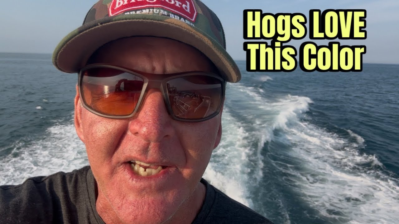Big Bass LOVE THIS Lure Color…