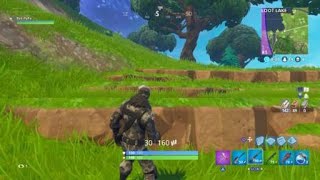 Fortnite flash cop