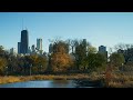Chicago Skyline Autumn - Relaxing video 4K
