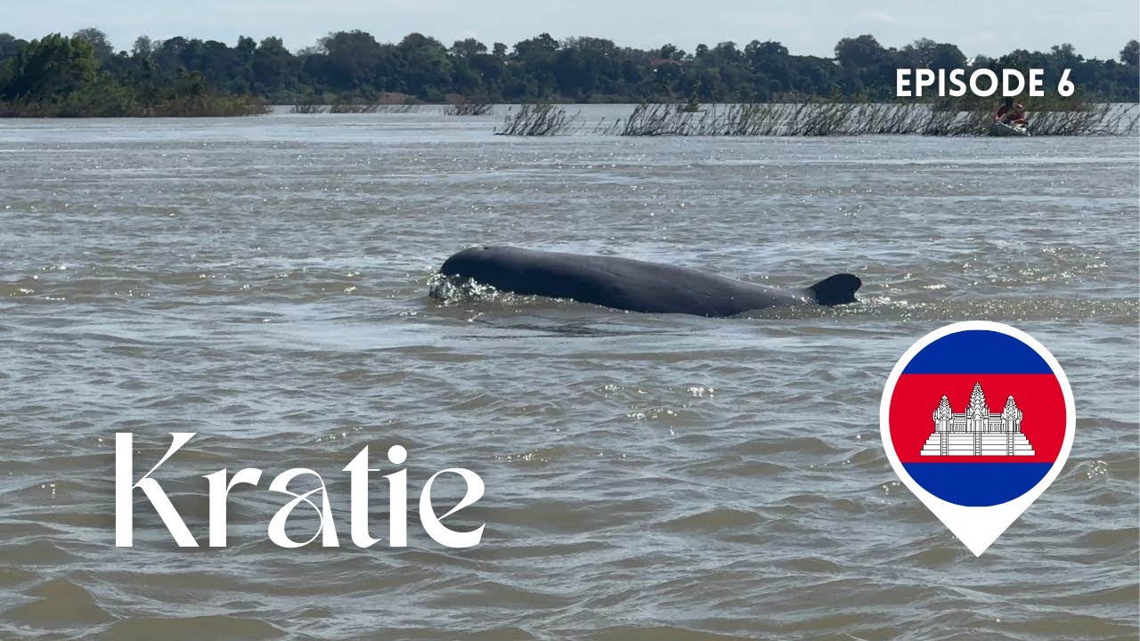 ÉPISODE 6 | Les derniers dauphins du Mékong