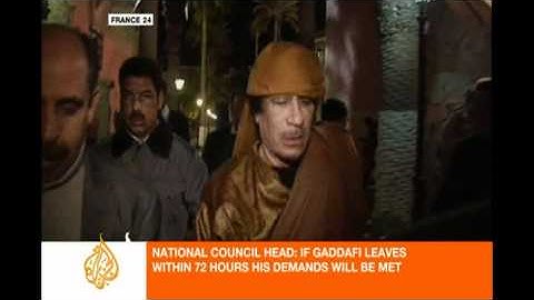 Interview with Libyan opposition