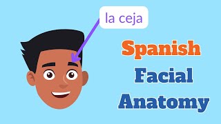 Spanish Anatomy of the Face (review + quizzing)