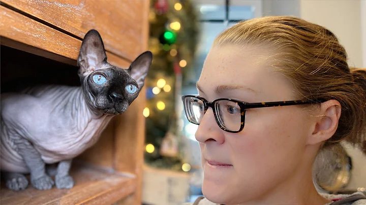 The Problem With Our Hairless Cat...