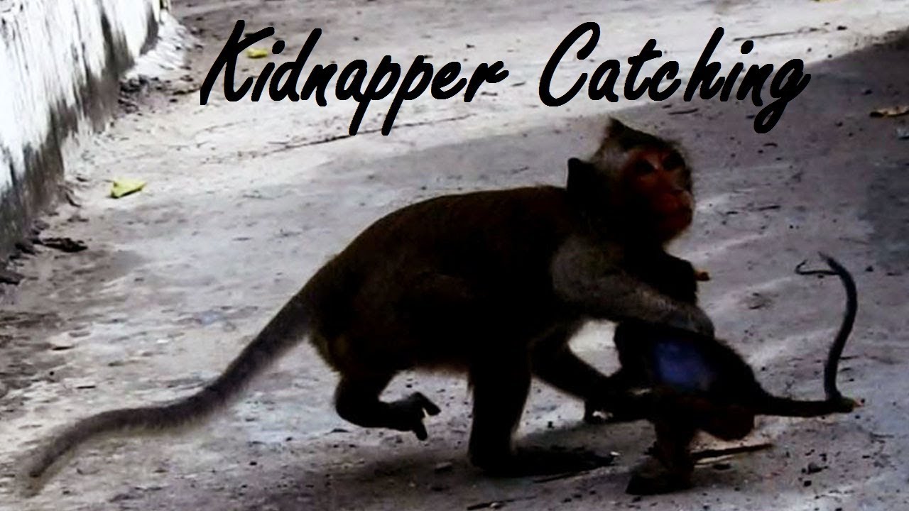 foundry Super Pity On Heidi Is Stolen Fast By Kidnapper Why Kidnapper Drags Her A Way