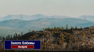 Золото Олёкмы