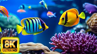 The Ocean 8K VIDEO ULTRA HD - Sea Animals for Relaxation, Beautiful Coral Reef Fish in Aquarium #27