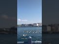 صدق الي قال الدنيا ام