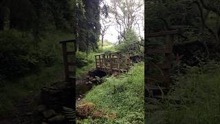Grizedale Forest Carron Trail