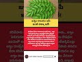 జుట్టు రాలడం ఆపే ఇంటి చిట్కా ఇదే #factstorytelugu #hairgrowth #curryleaves