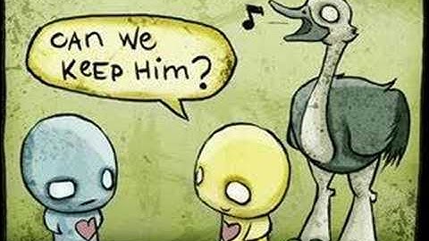 The world of Pon and zi