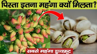 Pista इतना महंगा क्यों होता है? How Pistachio Nuts Are  Processed | why are pistachios so expensive screenshot 4